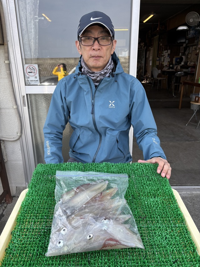 マルイカ(ケンサキイカ)