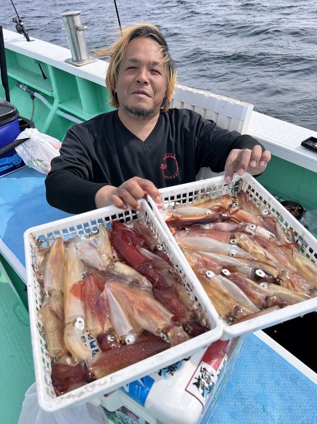 マルイカ(ケンサキイカ)