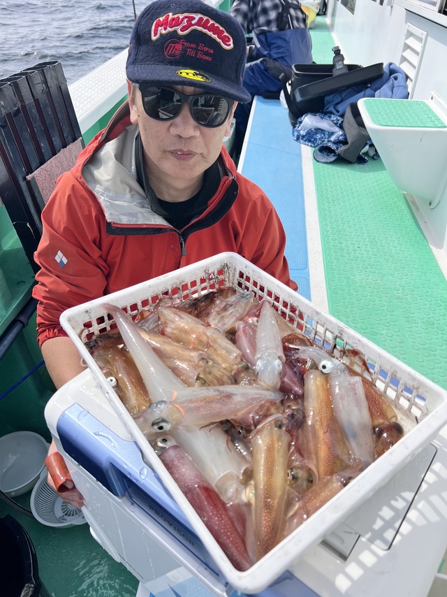 マルイカ(ケンサキイカ)