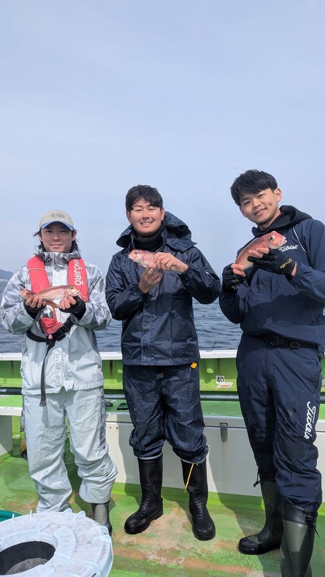 アマダイ(アカアマダイ)