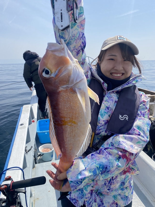 アマダイ(アカアマダイ)