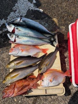 レンコダイ(キダイ)・イサギ(イサキ)・サバ(ゴマサバ)