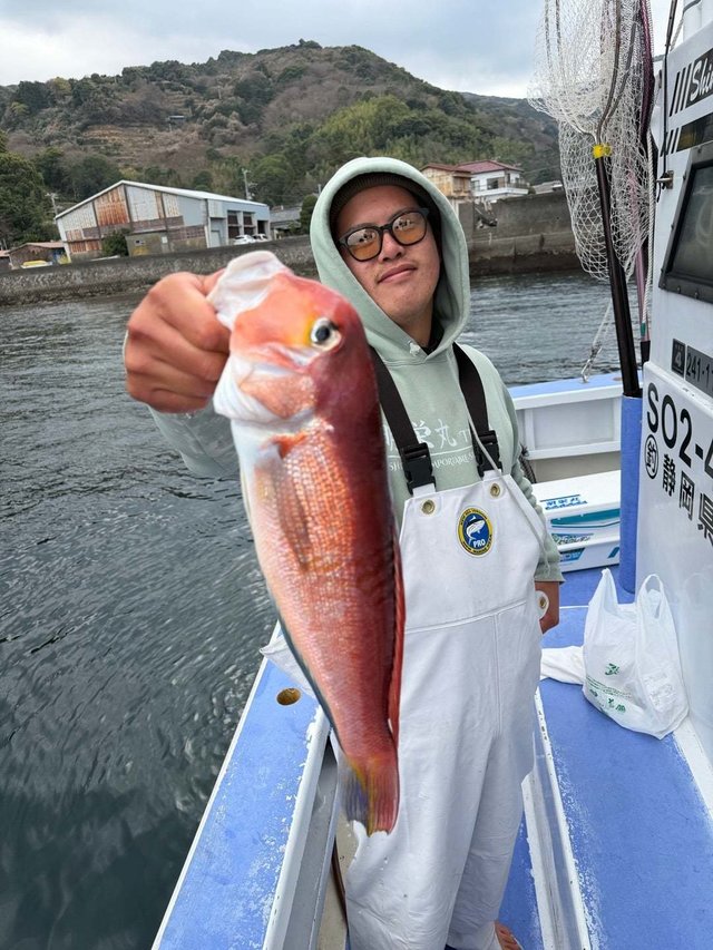 アマダイ(アカアマダイ)