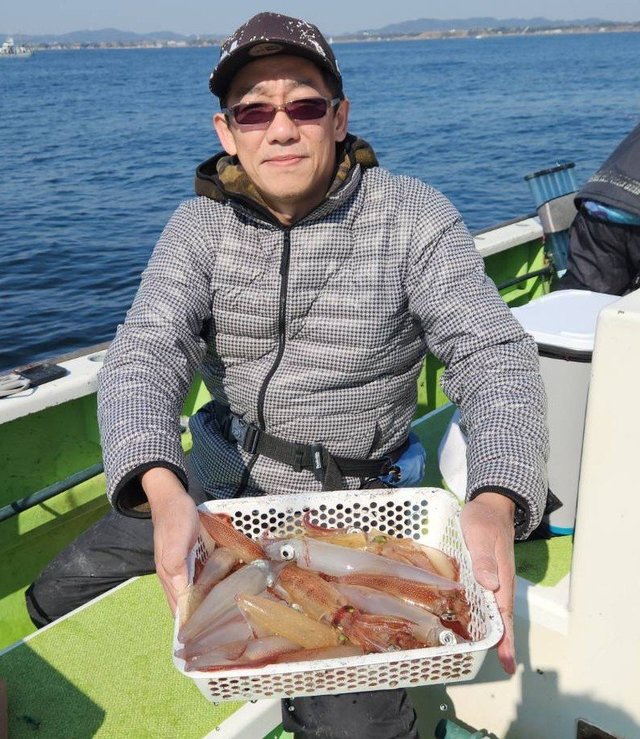 マルイカ(ケンサキイカ)