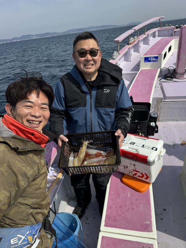 マルイカ(ケンサキイカ)