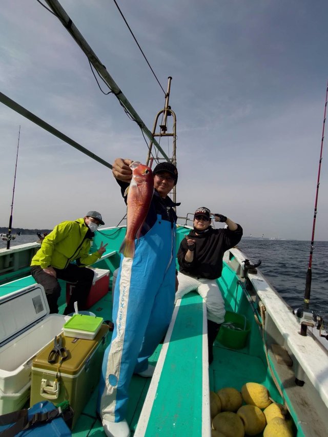 アマダイ(アカアマダイ)