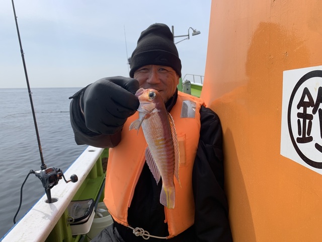 アマダイ(アカアマダイ)