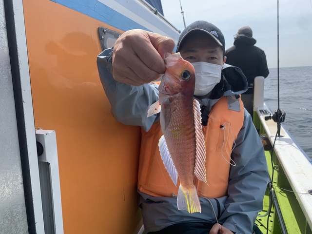 アマダイ(アカアマダイ)