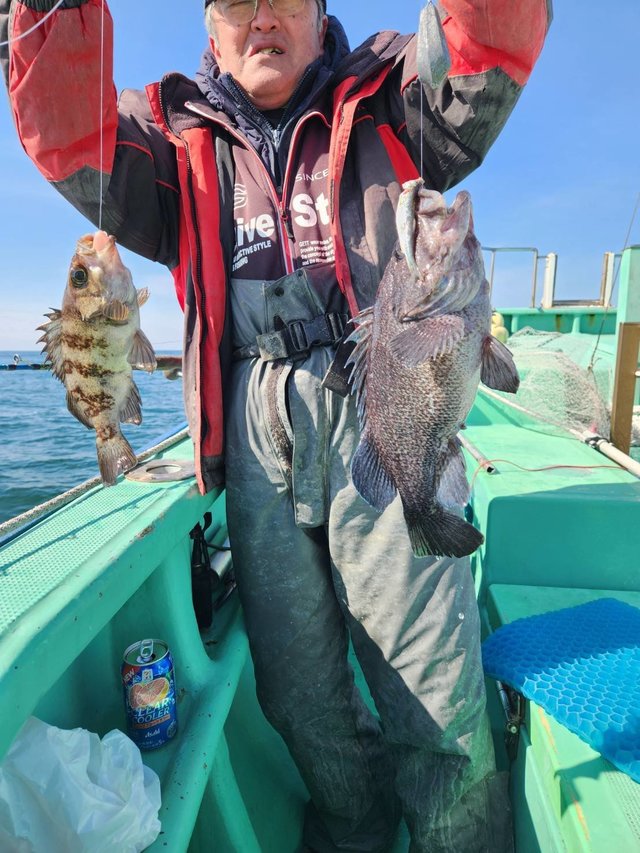 クロメバル(メバル)