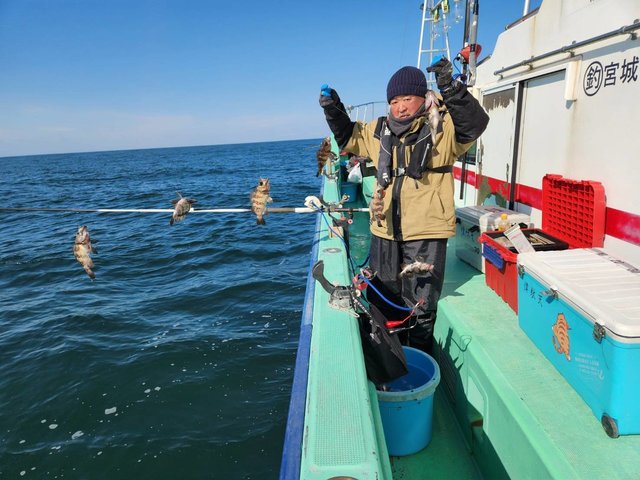 クロメバル(メバル)