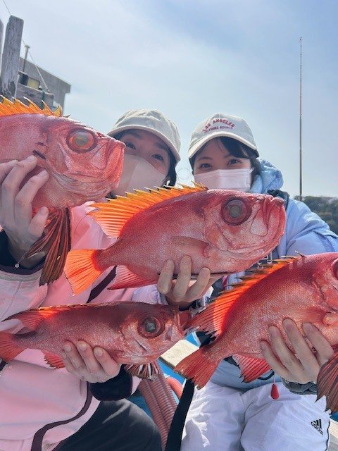 キントキ(チカメキントキ)