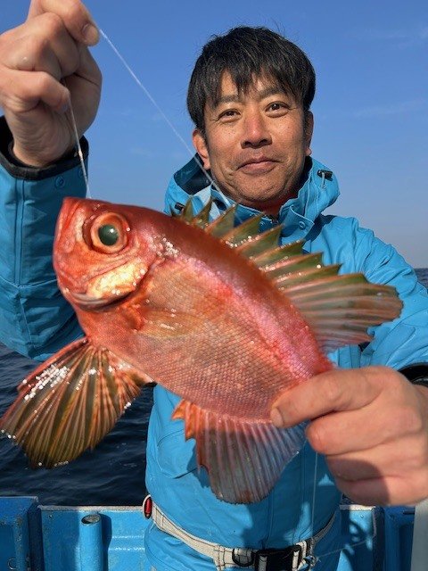 キントキ(チカメキントキ)