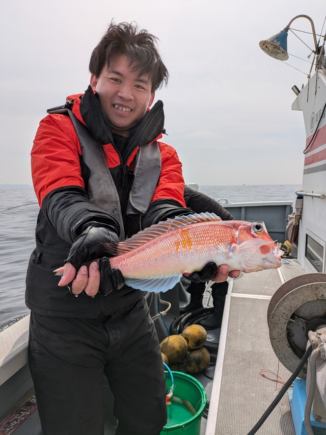 アマダイ(アカアマダイ)