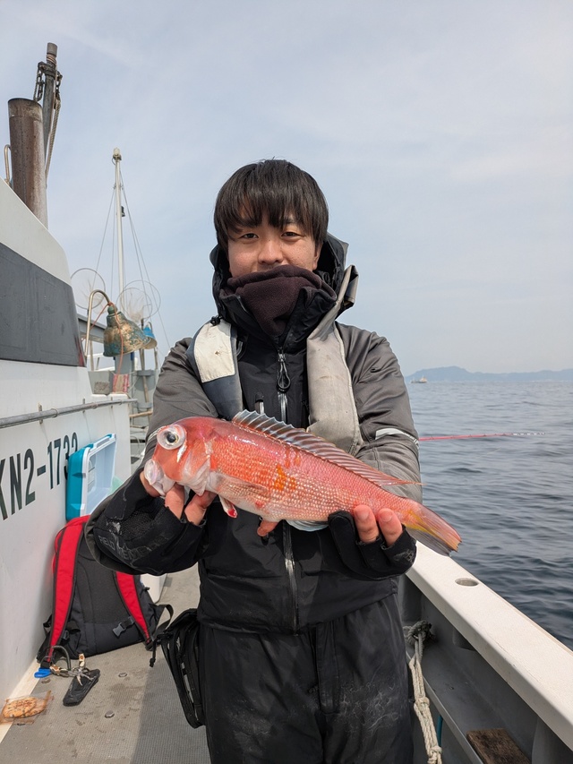 アマダイ(アカアマダイ)