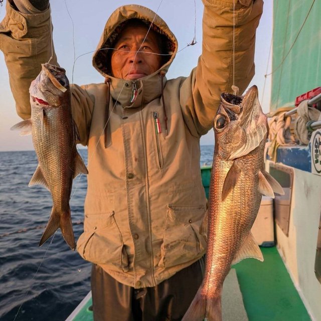 ムツ(クロムツ)