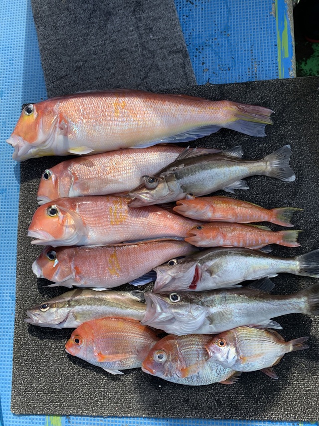 アマダイ(アカアマダイ)