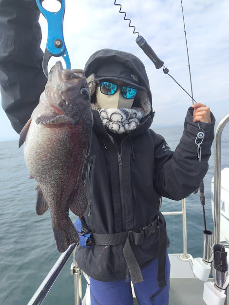 マゾイ(キツネメバル)