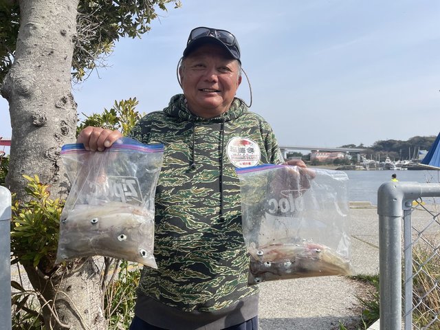 マルイカ(ケンサキイカ)