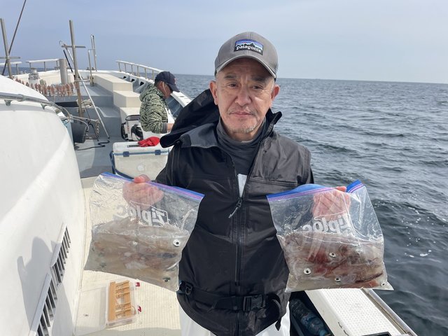 マルイカ(ケンサキイカ)