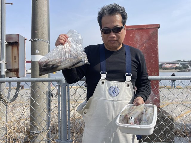 マルイカ(ケンサキイカ)