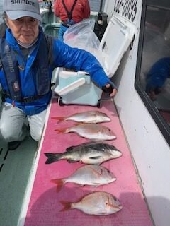 マダイ・クロダイ