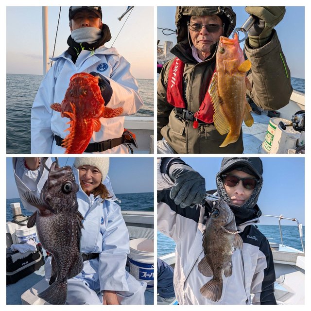 キジハタ・オニカサゴ・クロソイ・メバル