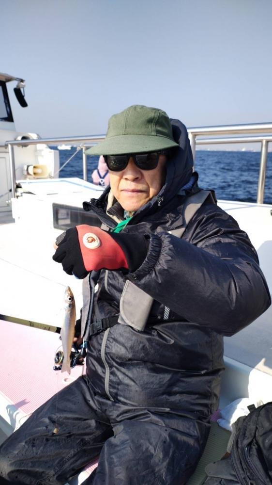 キス(シロギス)