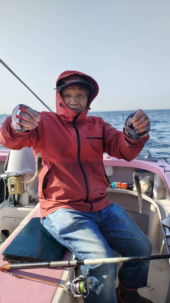 キス(シロギス)