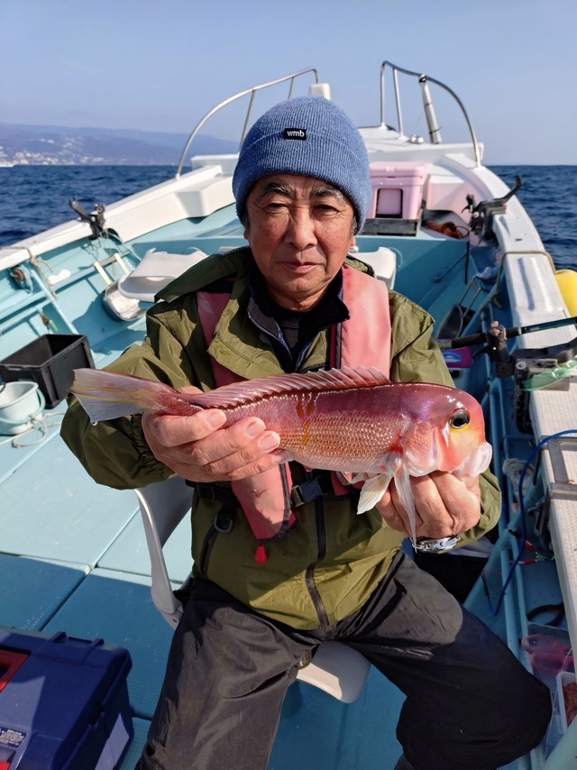 アマダイ(アカアマダイ)