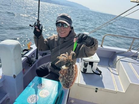 スミイカ(コウイカ)