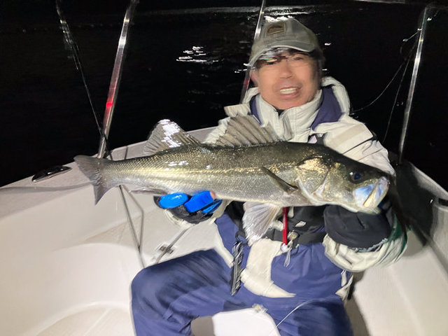 シーバス(スズキ)