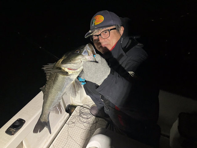 シーバス(スズキ)