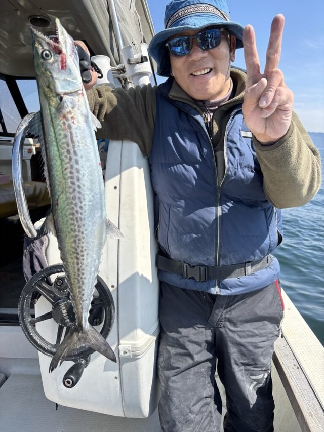 サゴシ(サワラ)