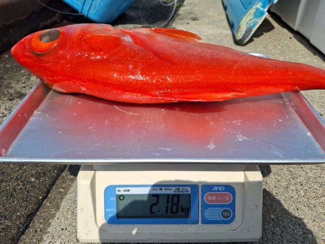 キンメ(キンメダイ)