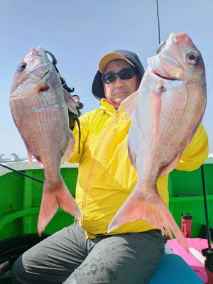 マダイ・ハナダイ(チダイ)