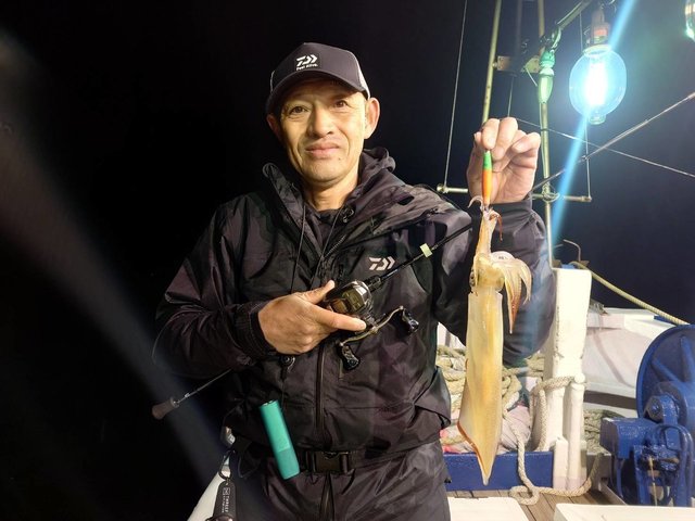 マイカ(ケンサキイカ)