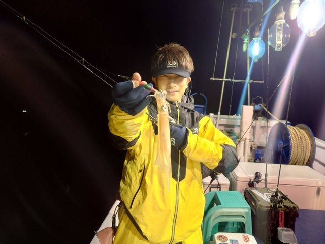 マイカ(ケンサキイカ)