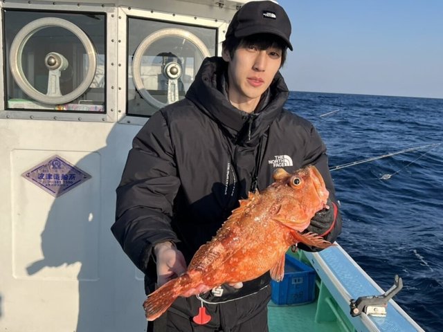 ボッコ(カサゴ)