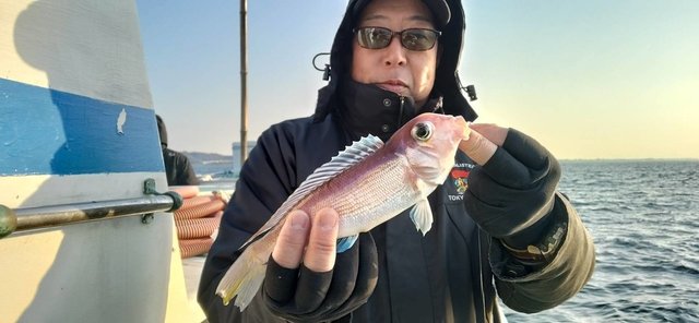 アマダイ(アカアマダイ)