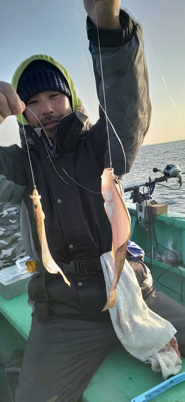 カレイ(マコガレイ)