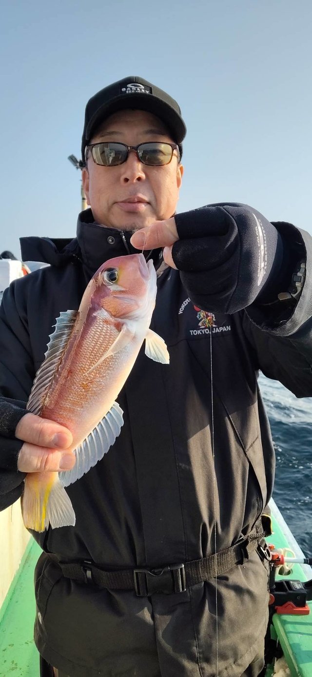 アマダイ(アカアマダイ)