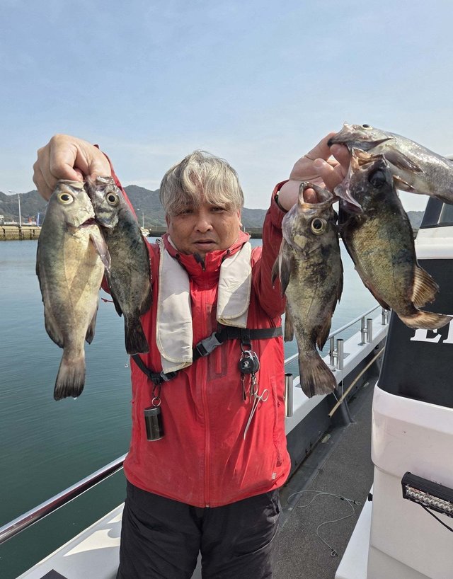 クロメバル(メバル)