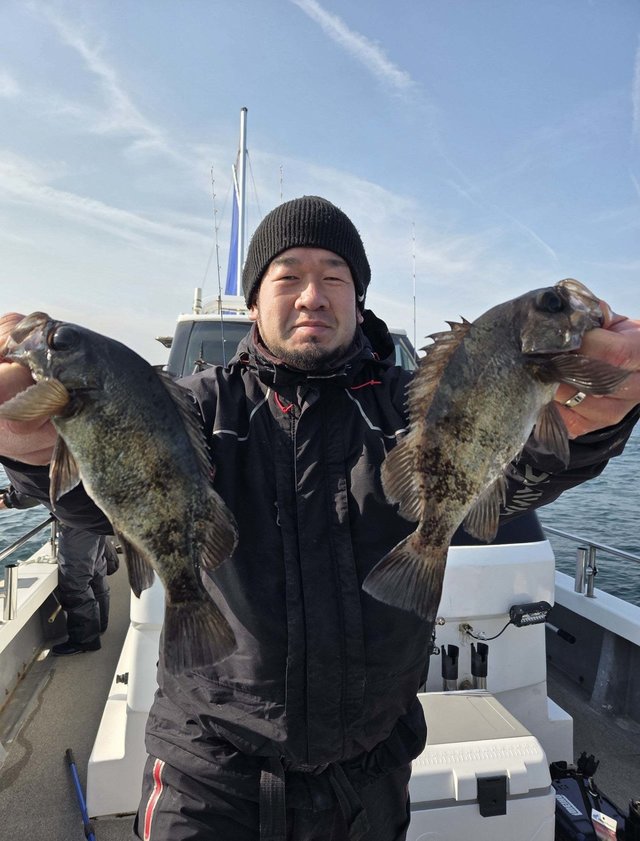 クロメバル(メバル)