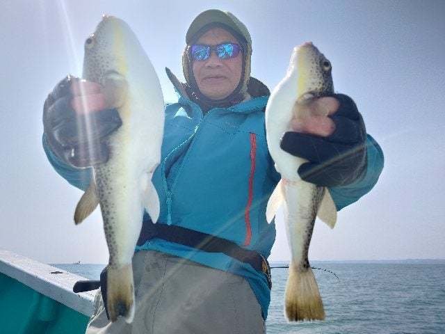 ショウサイフグ