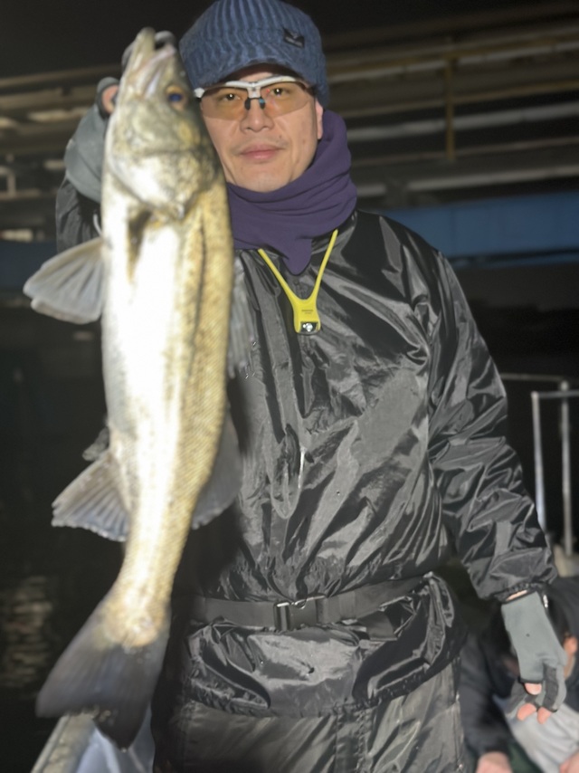 シーバス(スズキ)