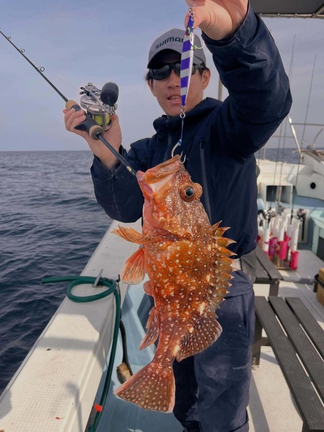 ウッカリカサゴ