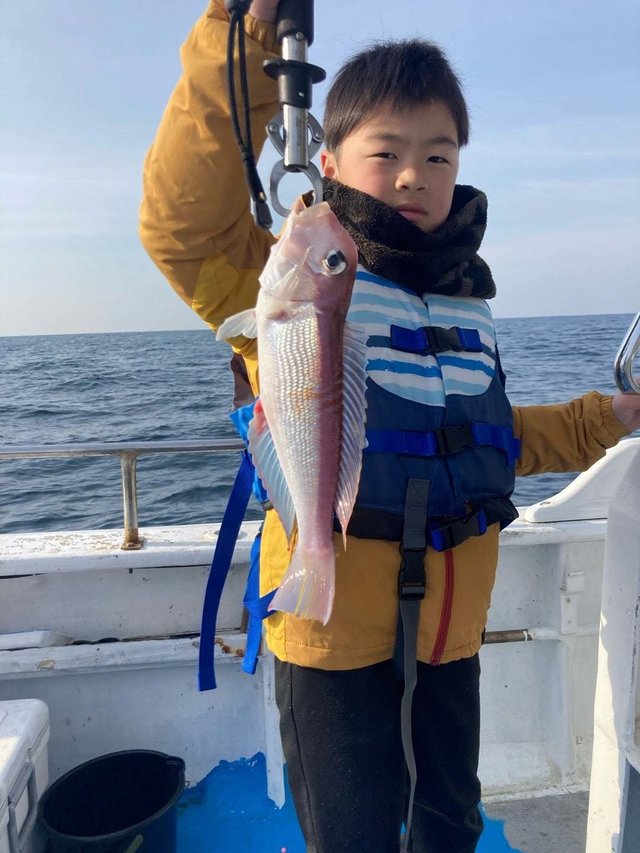 アマダイ(アカアマダイ)