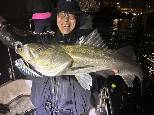 シーバス(スズキ)