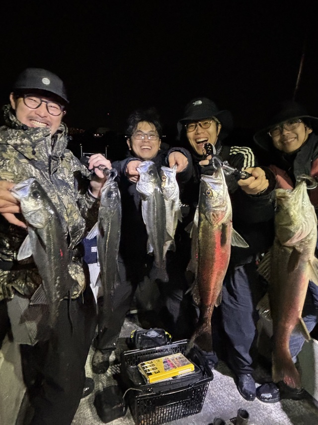 シーバス(スズキ)