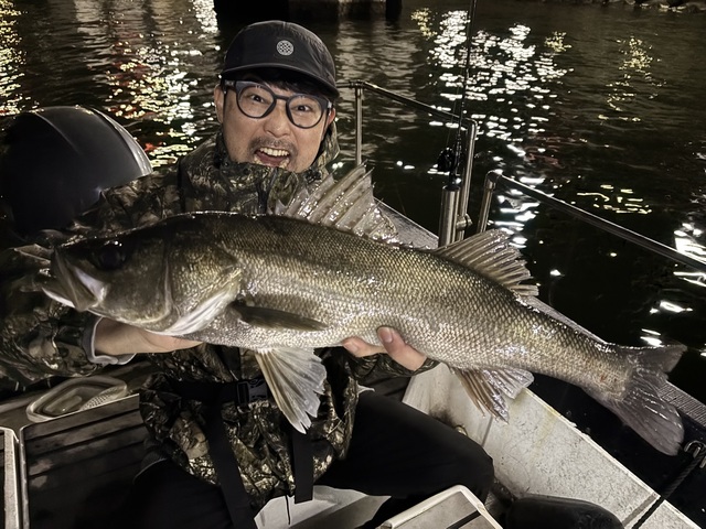 シーバス(スズキ)